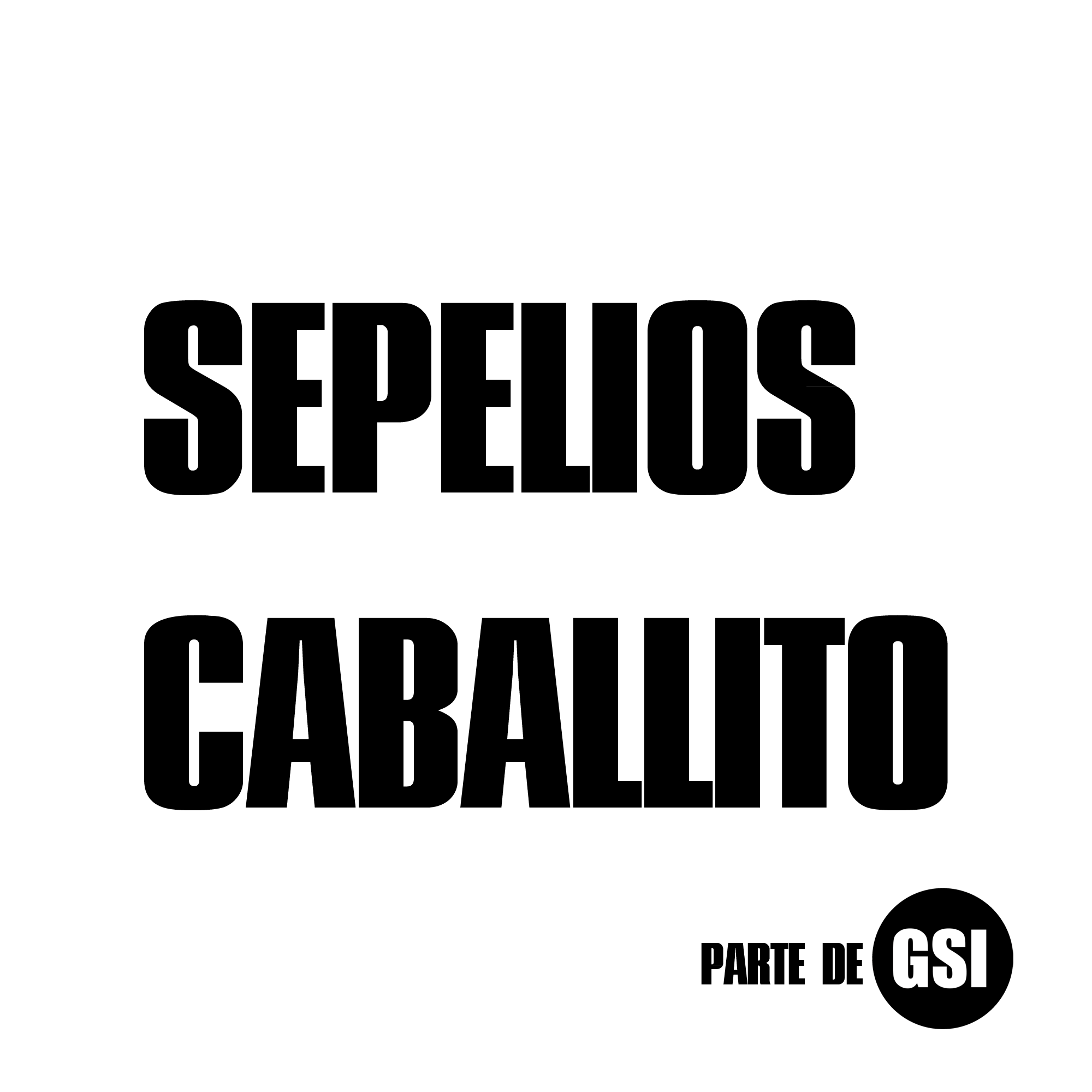 Sepelios Caballito